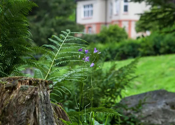 Klara - Wakacyjne דירה