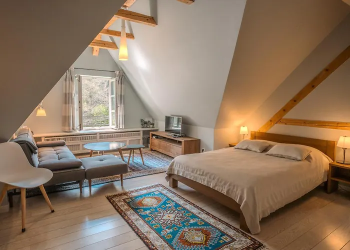 Daire Klara - Wakacyjne