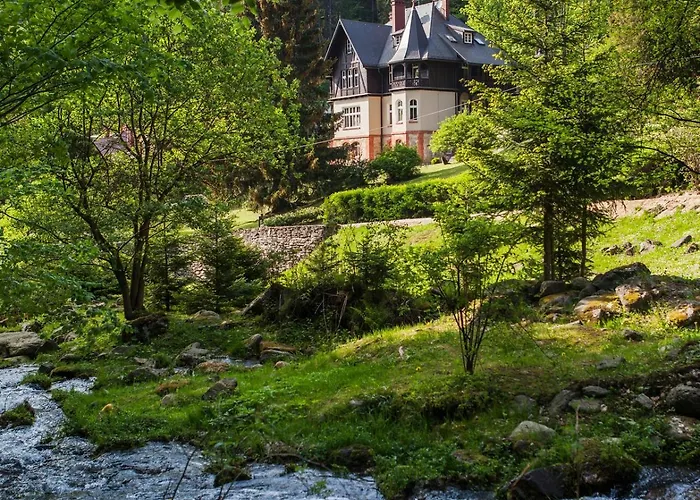 Klara - Wakacyjne Daire *